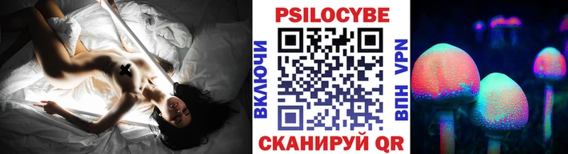 Псилоцибиновые грибы Cubensis где продают наркотики Саратов